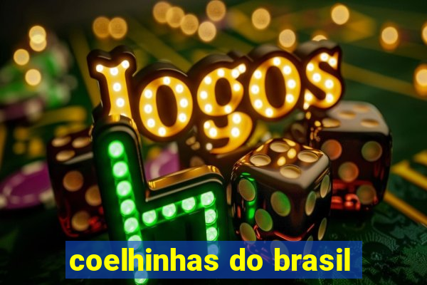 coelhinhas do brasil